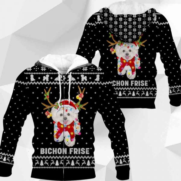 Bichon Frise-Christmas-1809-251119