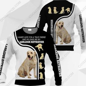 Labrador Retriever-I Asked God For A True Friend-0489-261119