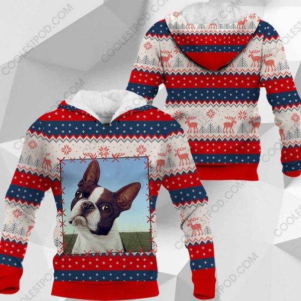 Boston Terrier - Christmas - 301119