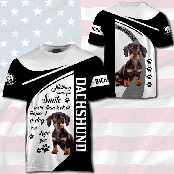 Dachshund-Nothing Makes You Smile-0489