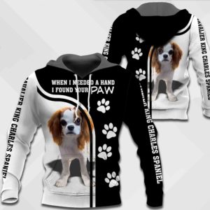 Cavalier King Charles Spaniel - When I Needed A Hand I Found Your Paw-1088