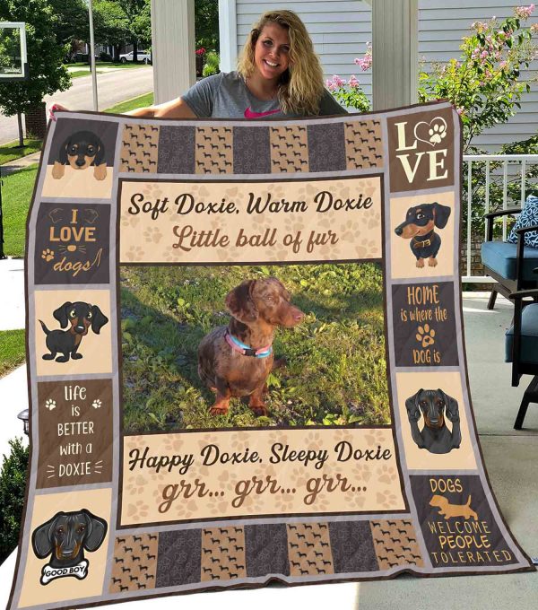 Dachshund Quilt-0489