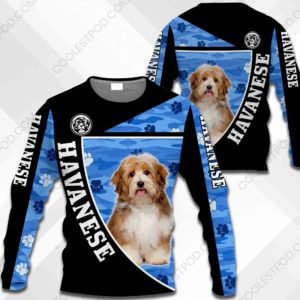 Havanese - 151119