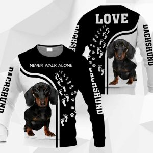 Dachshund - Never Walk Alone - 161119