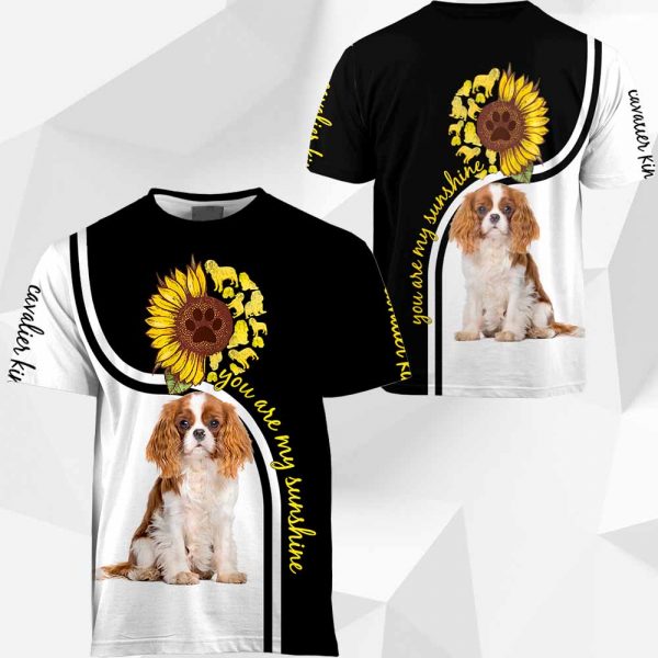 Cavalier King Charles Spaniel - You Are My Sunshine - 0489 - 191119