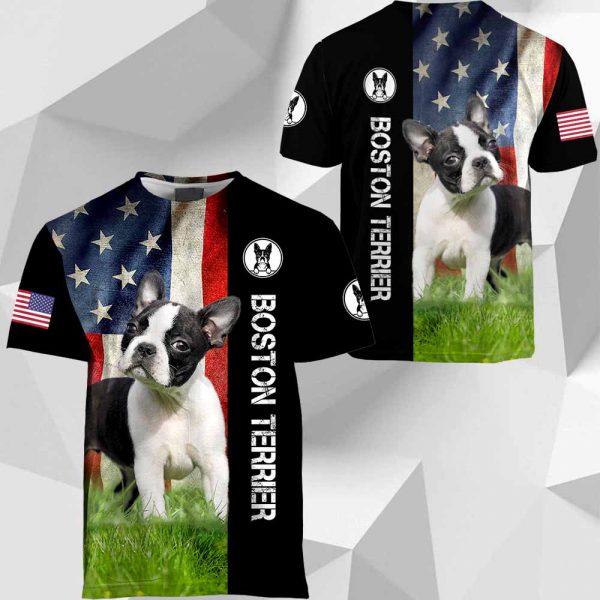Boston Terrier - American Flag - 281219