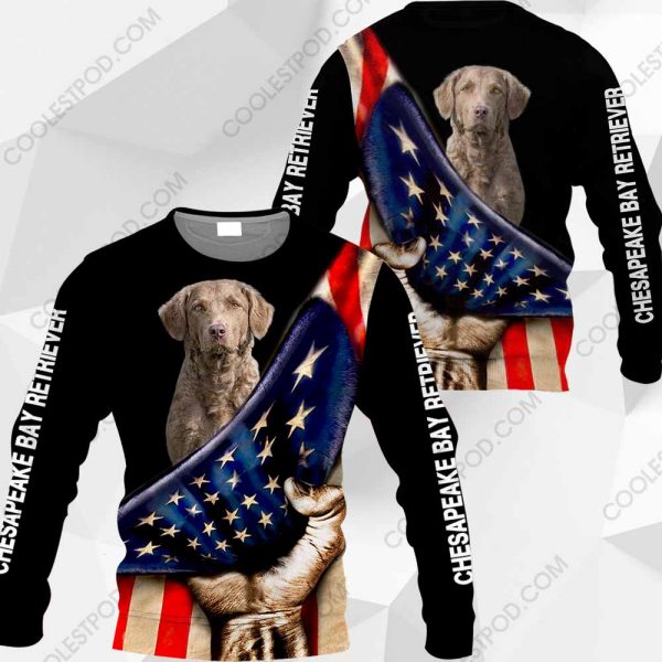 Chesapeake Bay Retriever - Flag - 0489-261219