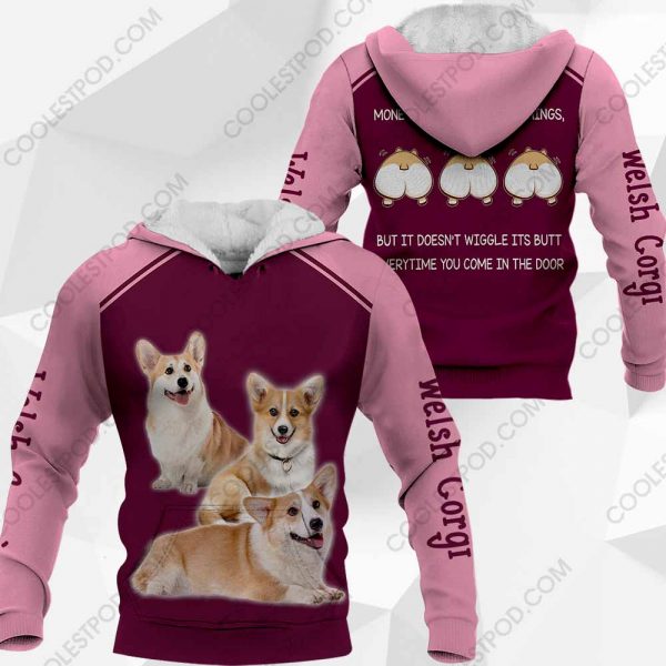 Welsh Corgi Money Can Buy A Lot Of Things-0489-161219