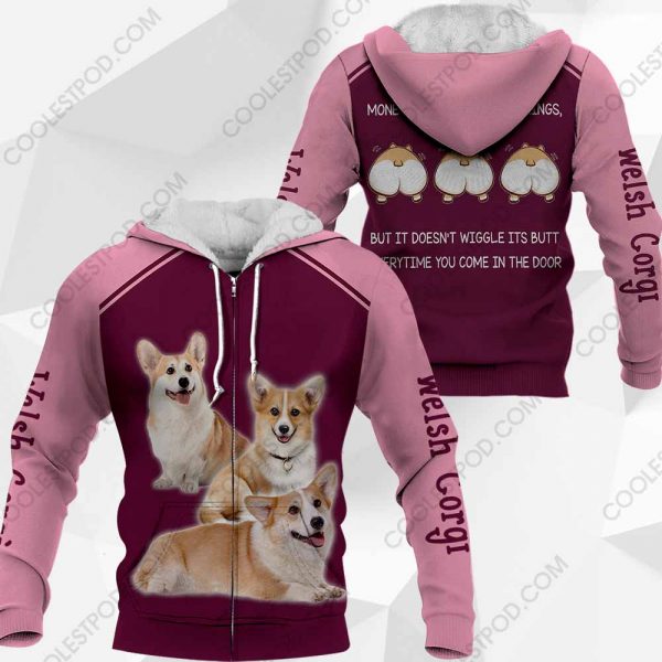 Welsh Corgi Money Can Buy A Lot Of Things-0489-161219