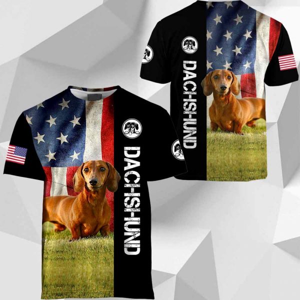 Dachshund - American Flag - 281219