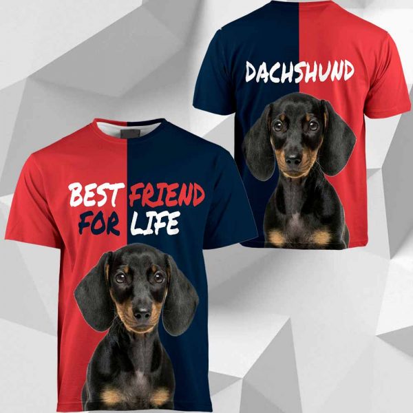 Dachshund Best Friend For Life HU220220