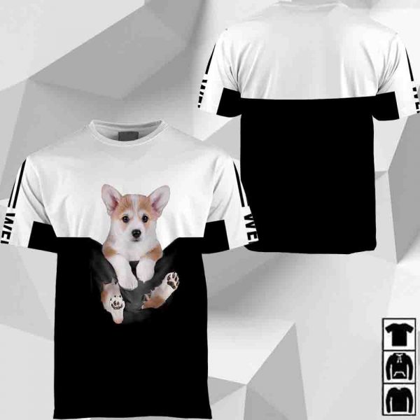 Welsh Corgi HU020420