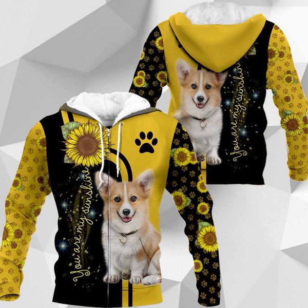 Corgi - You Are My Sunshine - 020120