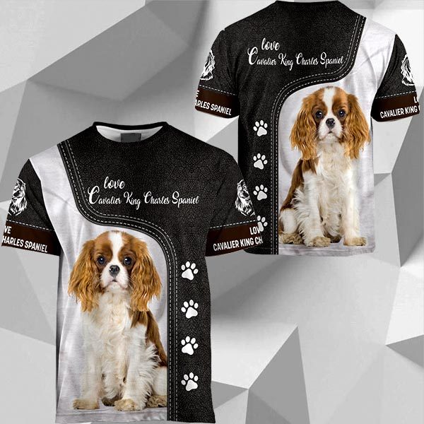 Cavalier King Charles Spaniel Leather HU230420