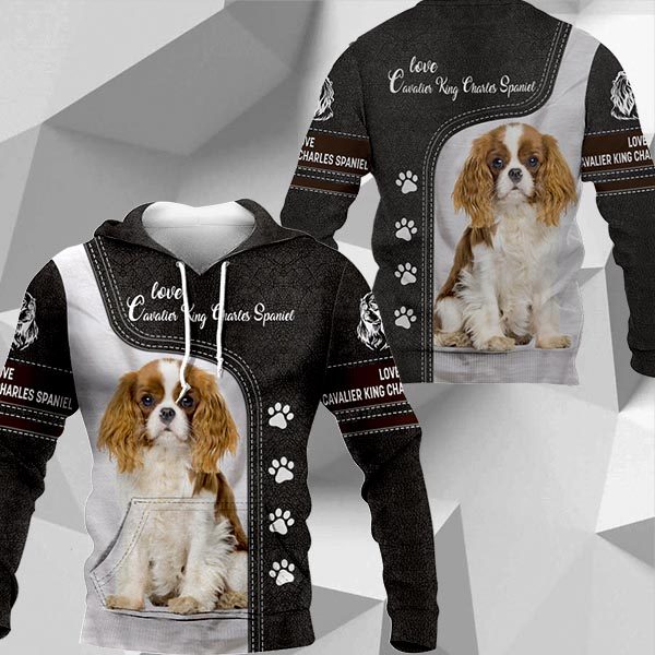 Cavalier King Charles Spaniel Leather HU230420