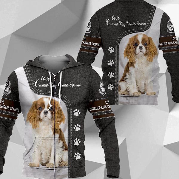 Cavalier King Charles Spaniel Leather HU230420